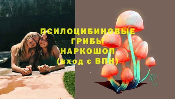 соль ск Богданович
