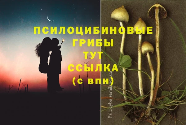 тгк Струнино