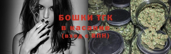 стаф Богородск