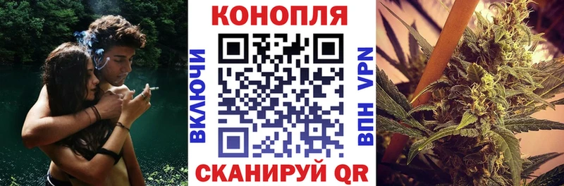 Бошки марихуана планчик  Кондрово 